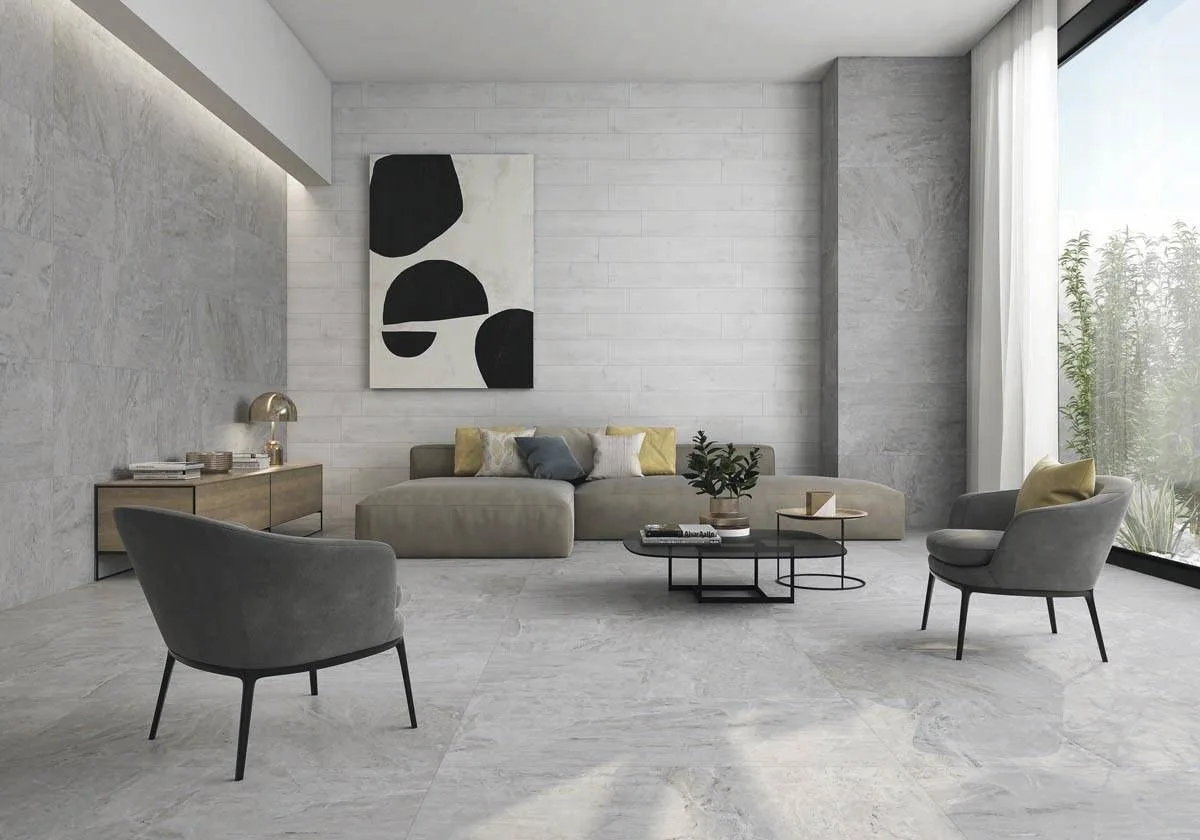 Illinois Gris en una sala