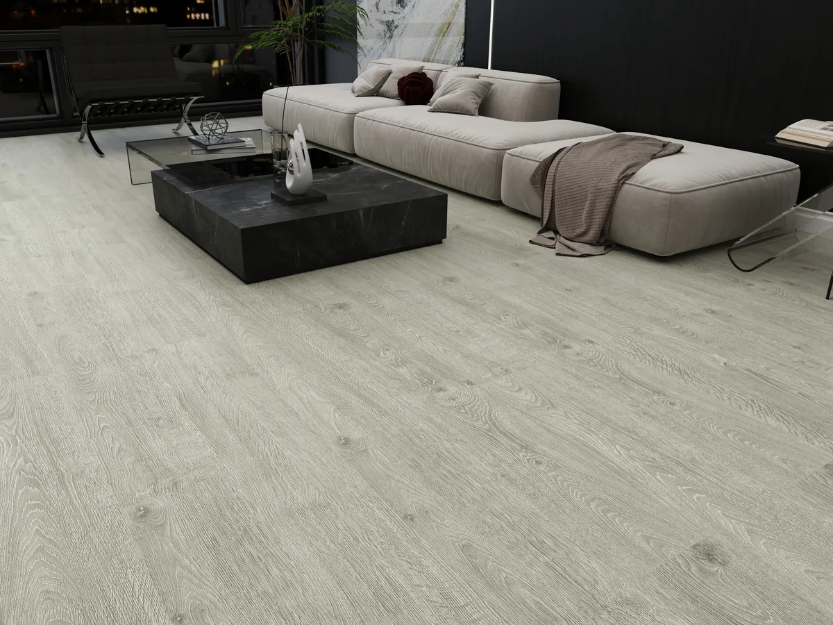 Galaxy Gray en una sala
