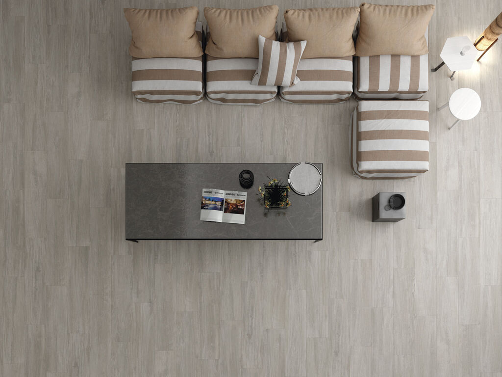 Bavaro Gris en una sala