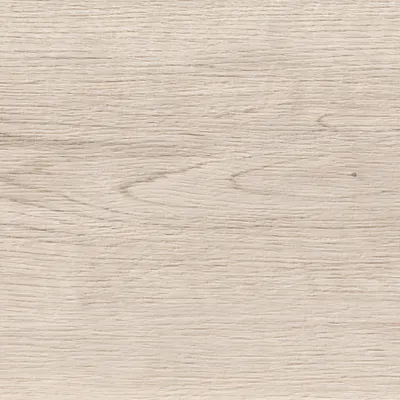 Vasey Maple