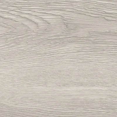 Eagle Gray