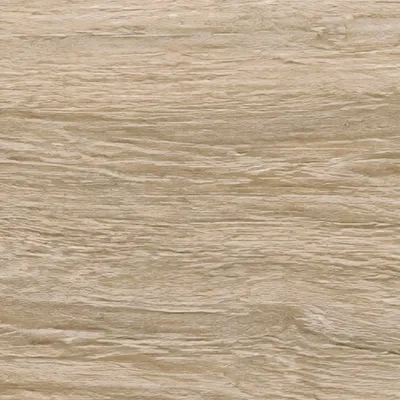 Atelier Beige