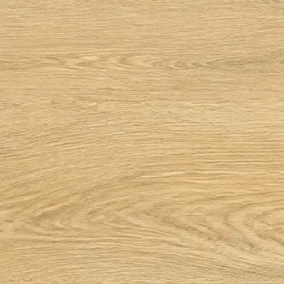 Top Wood Honey