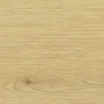 Florida Maple