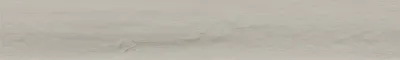 Boston Ice