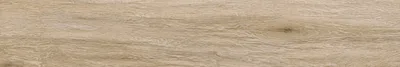 Atelier Beige